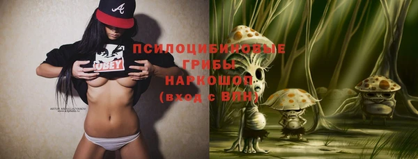 прущие грибы Алексин