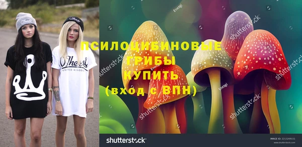 таблы Алзамай