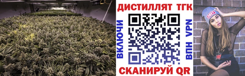 продажа наркотиков  Электрогорск  Дистиллят ТГК гашишное масло 