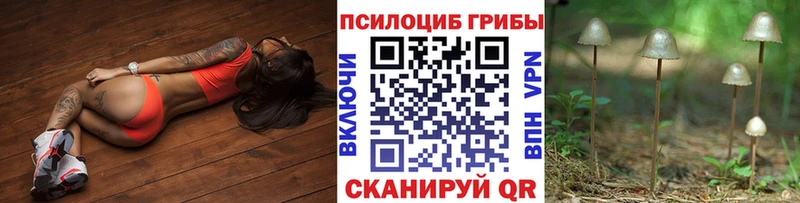 Галлюциногенные грибы GOLDEN TEACHER  даркнет сайт  mega как войти  Электрогорск 