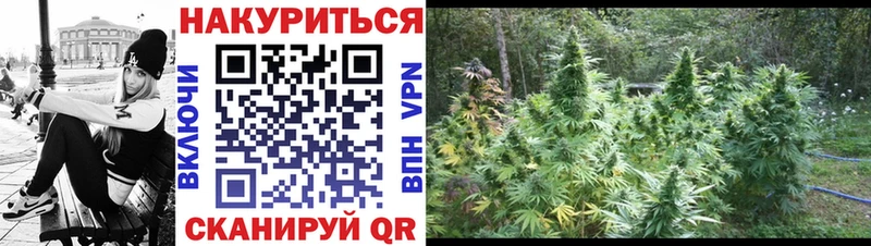 Марихуана ГИДРОПОН  даркнет сайт  Электрогорск 